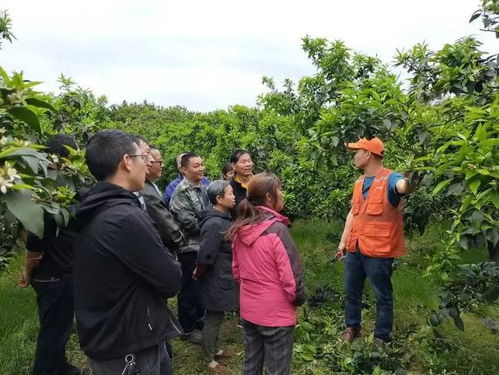 蒲江縣有家合作社獲評全國星級農業科技社會化服務組織,快來看看