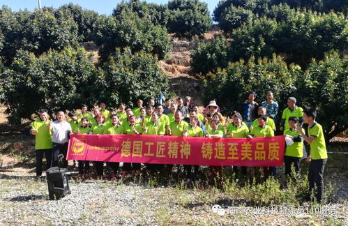 五指山市4位科技特派員分赴田間指導農戶種植