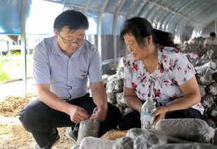 壯麗70年 奮斗新時代 濮陽 讓鄉土人才 香 起來