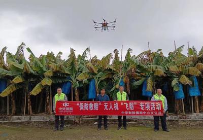 中華財險&ldquo;春耕備耕&rdquo;金融服務(wù)正當時