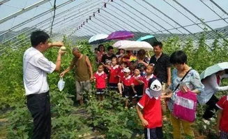 打造一座盈利的農(nóng)莊,選址要點可以從這幾方面來考慮