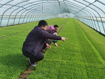 肇源農(nóng)場(chǎng)ldquo;保姆式&rdquo;服務(wù)助力春耕備耕