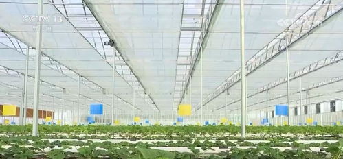 優(yōu)勢(shì)互補(bǔ) 同向發(fā)力 農(nóng)業(yè)農(nóng)村部全力推進(jìn)高水平農(nóng)業(yè)科技自立自強(qiáng)