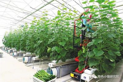 【新業態】休閑農業、互聯網+農業、智慧農業&hellip;