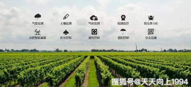 從碼鏈體系看智慧農業(yè)的發(fā)展