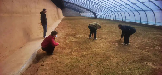 蘭州市城關(guān)區(qū):農(nóng)技服務(wù)在田間 春耕備耕正當時