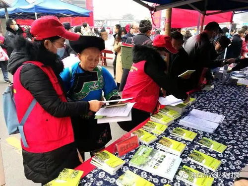 州農(nóng)業(yè)農(nóng)村局農(nóng)業(yè)科技志愿服務(wù)進苗寨