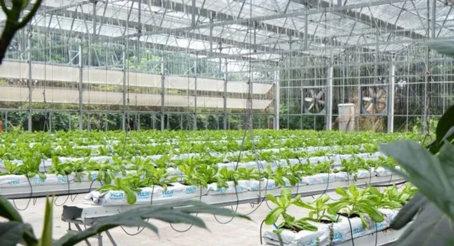 鄉村振興 | 三產融合下,農業不能只做鄉村文旅的背景色