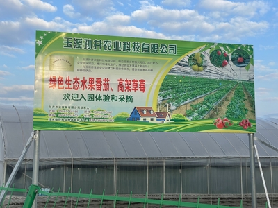 紅塔區政府信息公開