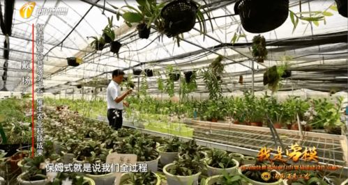 我是勞模丨南繁 保姆 戴揚 打造南繁公共服務平臺 催生更多更好的農業科技成果