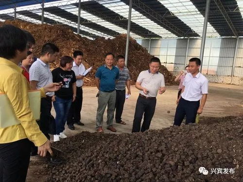 哪個鄉(xiāng)鎮(zhèn)多力 興賓區(qū)產(chǎn)業(yè)扶貧和村級集體經(jīng)濟(jì)大評比