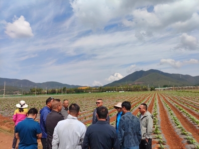 昆明市種子管理站聯(lián)合昆明市烤煙生產辦公室到尋甸縣開展科技增糧服務工作