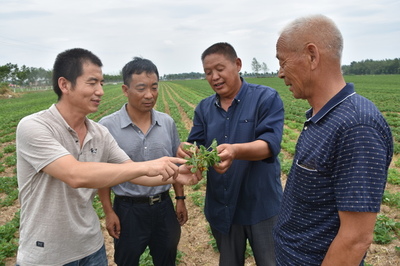 河南省正陽縣政協(xié)精準扶貧 科技進田--人民政協(xié)網