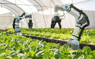 中國智慧農業(yè):政策的寵兒,但還是處于初級階段,未來如何躍遷