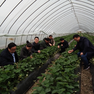 田家庵區(qū)科技特派員對接農業(yè)基地