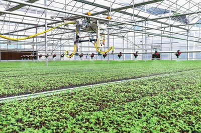 奮力繪就鄉(xiāng)村振興米易畫卷 --米易縣農(nóng)業(yè)農(nóng)村局全力推動農(nóng)業(yè)農(nóng)村高質(zhì)量發(fā)展記