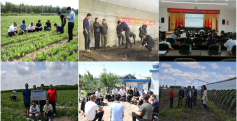 我院&ldquo;創(chuàng)新寒地棚室生產(chǎn)技術(shù) 助力鄉(xiāng)村振興產(chǎn)業(yè)發(fā)展&rdquo; 成功入選教育部省屬高校精準(zhǔn)幫扶典型項(xiàng)目