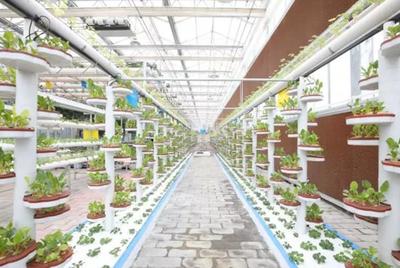 恒大扶貧三周年 現(xiàn)代技術(shù)賦能畢節(jié)農(nóng)業(yè)產(chǎn)業(yè)提檔升級(jí)