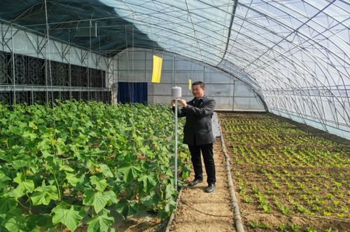 一年之計(jì)在于春，農(nóng)氣聯(lián)手促增收：農(nóng)業(yè)科技服務(wù)的創(chuàng)新與展望