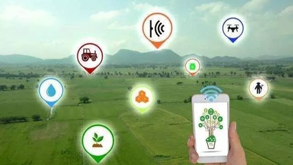 數(shù)字賦能鄉(xiāng)村振興 《數(shù)字鄉(xiāng)村發(fā)展行動(dòng)計(jì)劃(2022-2025年)》引領(lǐng)農(nóng)業(yè)科技服務(wù)新篇章