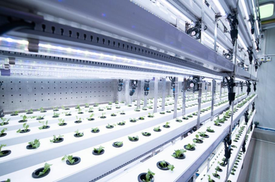 拼多多Q3財(cái)報(bào)發(fā)布 陳磊強(qiáng)調(diào)重倉(cāng)“新質(zhì)供給”與“電商西進(jìn)”生態(tài)建設(shè)，深化農(nóng)業(yè)科技服務(wù)