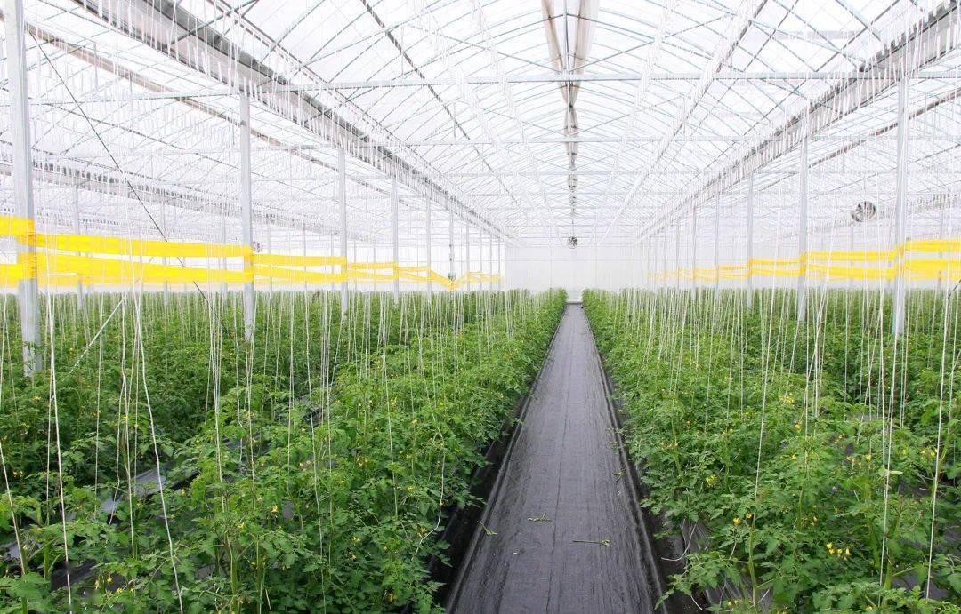 夯實(shí)生態(tài)底板 打造世界級(jí)殷實(shí)農(nóng)場(chǎng) 農(nóng)業(yè)科技服務(wù)