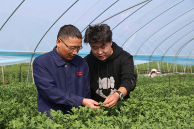 人保財(cái)險(xiǎn)徐州分公司 以服務(wù)三農(nóng)為本，助推農(nóng)業(yè)保險(xiǎn)高質(zhì)量發(fā)展