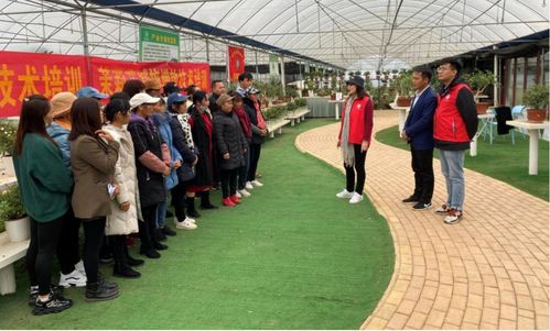 科技賦能 花香四溢 廣西農(nóng)科院花卉研究所的農(nóng)業(yè)科技服務之路