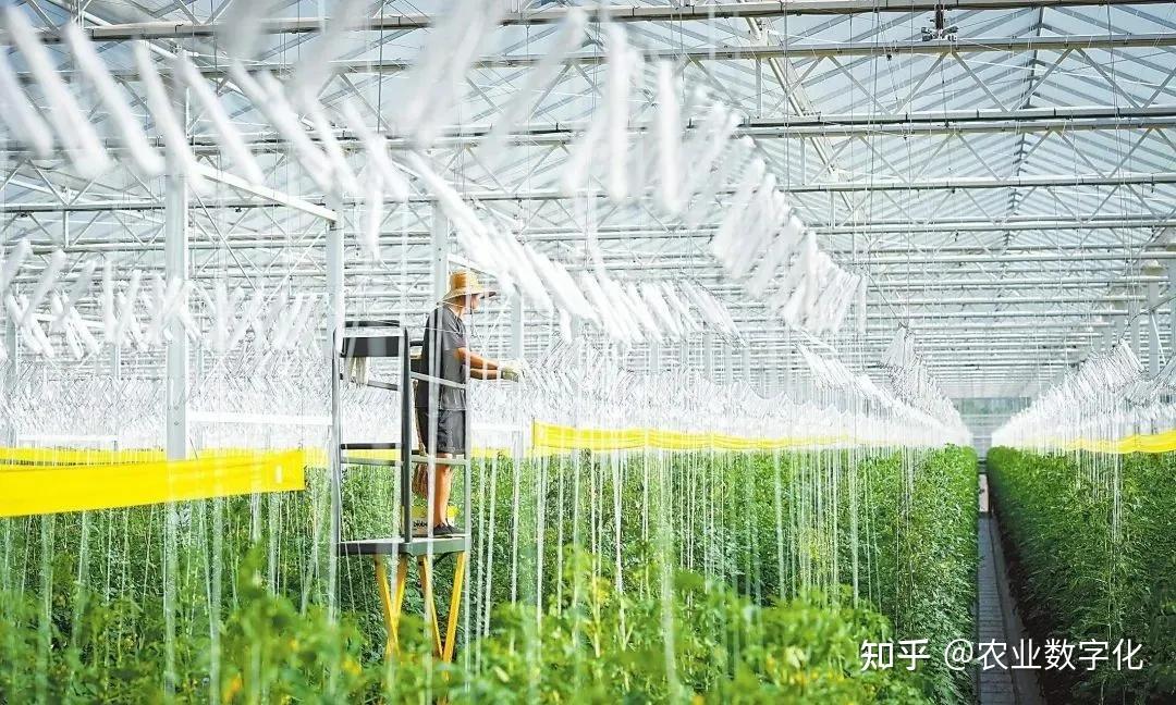 農業科技服務 以創新之力破解現代農業發展難題