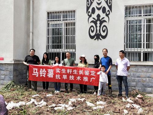 科技特派員服務(wù)團(tuán)深入昭覺(jué)布拖，助力馬鈴薯產(chǎn)業(yè)振興